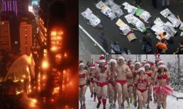 Những bức ảnh "đắt giá" nhất 24h qua (16/12)