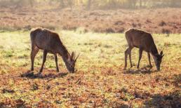 Chìm đắm với những cảnh sắc thiên nhiên đẹp yên bình