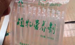 Vụ hóa chất kích thích giá đỗ: 5 cơ quan từ chối giám định