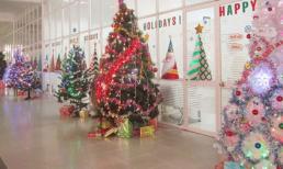 Nghe chị em công sở kể về ngày Noel đáng ghen tỵ cùng đồng nghiệp