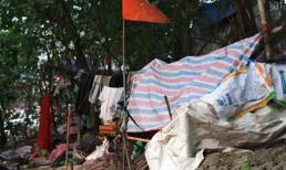 Phát hiện 3 hộ gia đình sống lay lắt trên cây giữa thủ đô