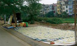 Mứt Tết - Ai dám ăn?