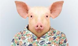 Xem động vật chụp ảnh chân dung