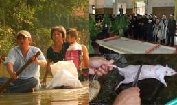 Những bức ảnh "đắt giá" nhất 24h qua (05/12)