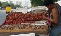 Dâu tây Trung Quốc mác Đà Lạt tràn ngập thủ đô