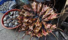 Báo nước ngoài 'phát sốt' với món thịt chuột tại Hà nội