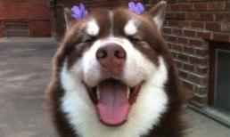 Em đẹp nhất đêm nay