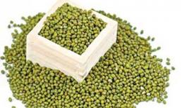 Đậu xanh là vị thuốc giải độc tố hiệu quả