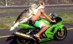 Cặp đôi hoàn hảo