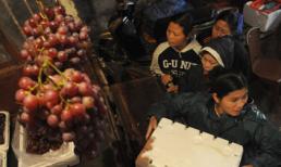 Lo đối phó nông sản “bẩn”