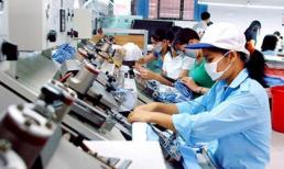 CEO Nhật Bản: “Lao động Việt thích kiếm tiền nhưng không chăm chỉ”