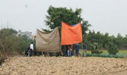 Ông chủ vườn đào bị giết, treo cổ lên cây?