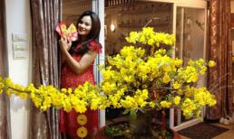Vũ Thu Phương bế bụng bầu "khoe" ảnh xuân đầu năm