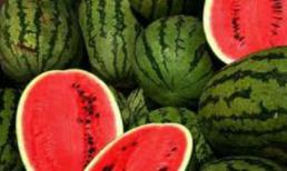 Sự thật tin đồn 6 người tử vong vì ăn dưa hấu