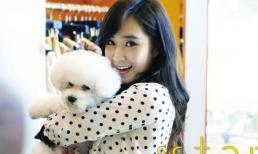 Những idol Hàn tuổi rắn ‘kém duyên’ màn ảnh nhỏ