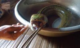 Những loài cá kỳ dị ở Việt Nam