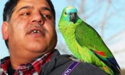 Chú vẹt nói được nhiều ngôn ngữ