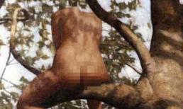 Hoảng hồn vì những tai nạn bất ngờ trong lúc mải làm "chuyện ấy"