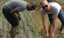 Đức Hùng xắn ống quần lội ruộng, trổ tài cấy lúa