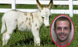 Điểm lại 9 vụ sex với động vật gây chấn động