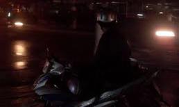 Xe ôm bị khách nữ "lột sạch" trong nhà nghỉ