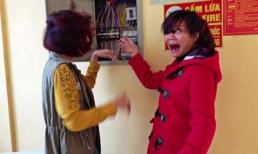 Những hình ảnh 'cực độc' ở Việt Nam