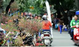  Miền Bắc đón Tết Nguyên đán trong mưa lộc và rét đậm
