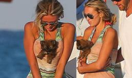 Người đẹp dùng vòng 1 làm "nệm êm" cho thú cưng