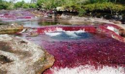 10 kiệt tác tự nhiên kỳ lạ nhất thế giới