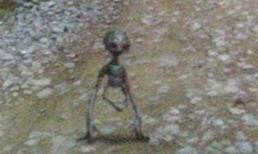 Sự thật ngỡ ngàng về "người ngoài hành tinh" ở Việt Nam