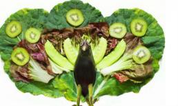 Ngộ nghĩnh các loài động vật sáng tạo từ củ quả