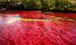 Cảnh tượng tuyệt đẹp dưới những dòng sông 'trinh nữ'