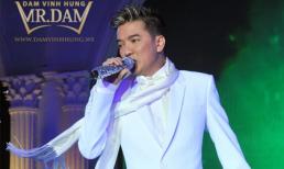 8 show nhạc lớn 'cộp mác' Đàm Vĩnh Hưng