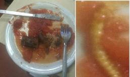 Ăn gần hết mới phát hiện sâu ngọ ngoậy trên đĩa