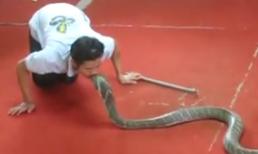 Đừng cố tỏ ra... nguy hiểm