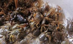 Kinh sợ cua xay tại chợ, thà nhịn còn hơn