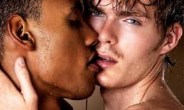 Tôi yêu cả nam và nữ