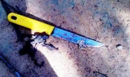 Trưởng khoa Nhi chết với 50 vết đâm trên người