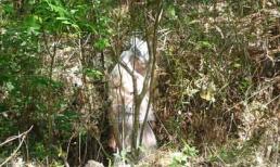 Xác chết lõa thể treo lơ lửng trên cây