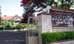 Công ty Cường Đô la: Quý I/2013, kinh doanh bết bát