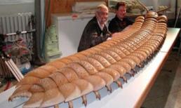 Những loài sâu bọ tiền sử khiến bạn “sởn gai ốc”