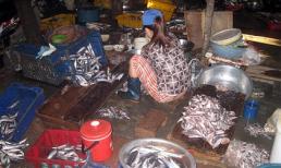 Chả cá ngon = Cá ươn, cá thối + Dầu ăn đen ngòm