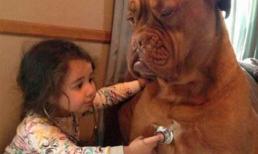 Những em bé vui nhộn