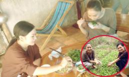 Sao ăn gì hôm nay (P11): Phương Thanh & Thu Minh chán thịt, thèm rau?