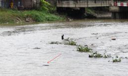 Phát hiện xác một phụ nữ nổi trên sông Sài Gòn