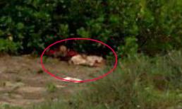 Lời kẻ sát hại người tình nữ sinh đang mang thai