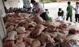 "Ăn thịt heo chết còn ngon hơn thịt heo sống" (!)