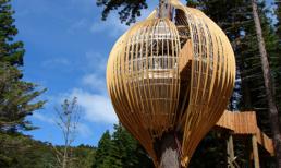 Thú vị với những ngôi nhà lơ lửng trên cây