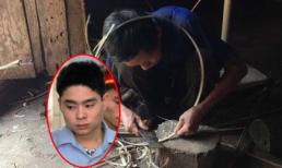 Những phản hồi yếu ớt từ gia đình Lê Văn Luyện