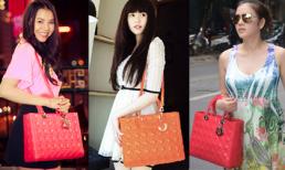 15 mỹ nhân Việt mê mẩn chiếc túi Dior giá trăm triệu